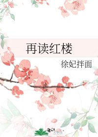 再读红楼